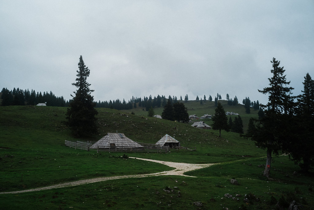 SLVN0006.jpg